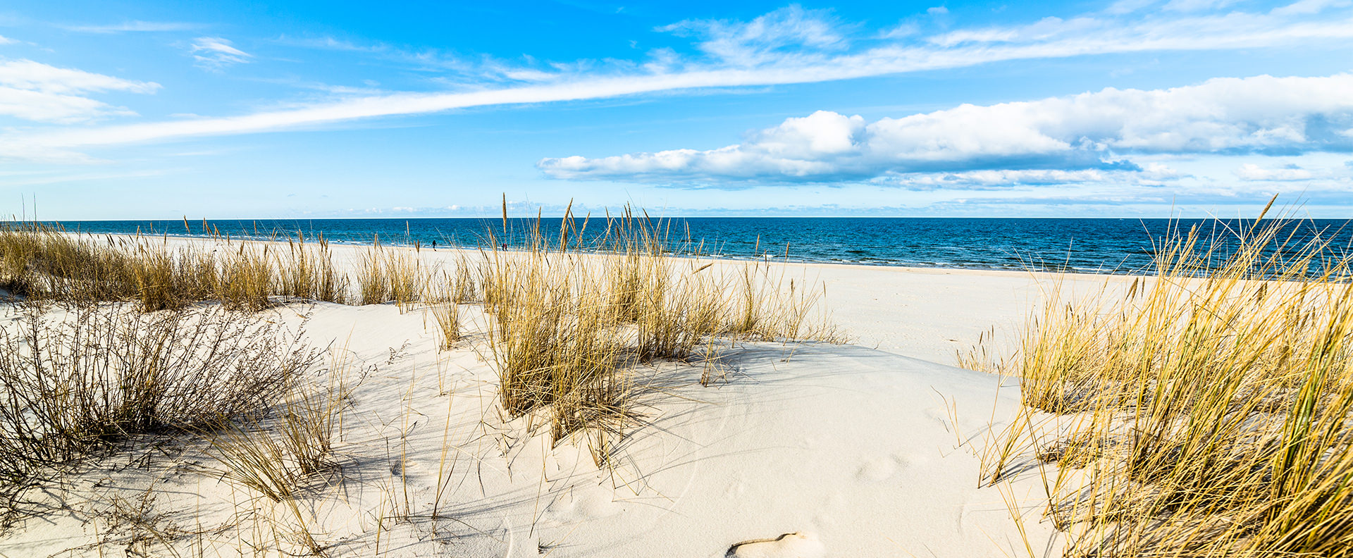 PUR Ostsee Ferienhaus Darss Prerow