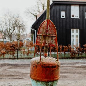 PUR Ostsee Ferienhaus Meer Prerow Darßwald