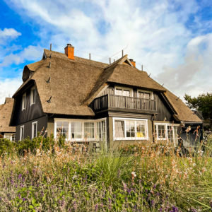 PUR A6 A7 Ostsee Urlaub Ferienhaus Ahrenshoop Darß