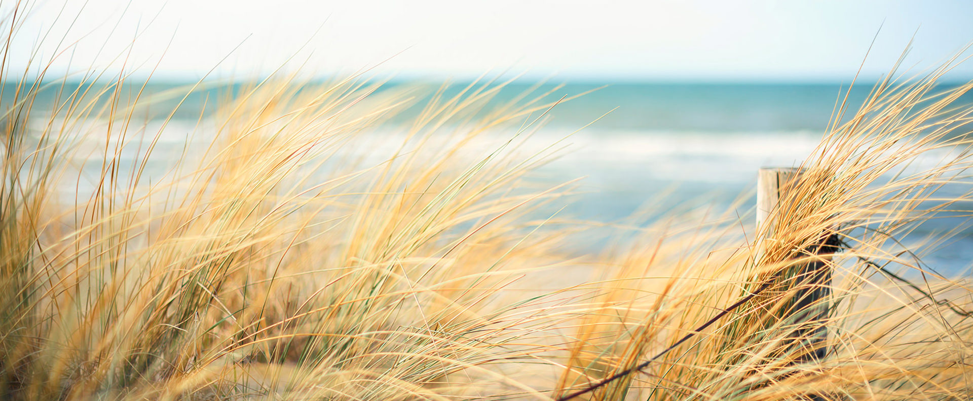 pur ostsee darss ferienhaus ferienapartments urlaub